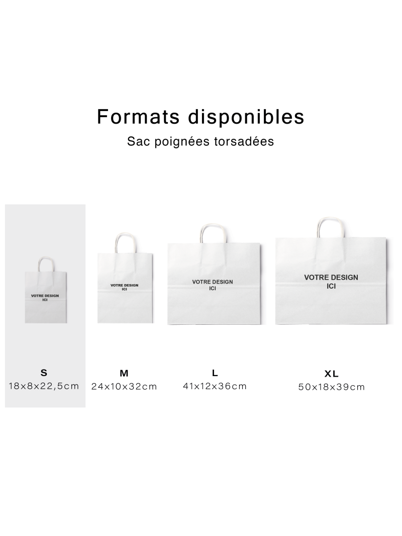 Sac poignées torsadées - Kraft blanc