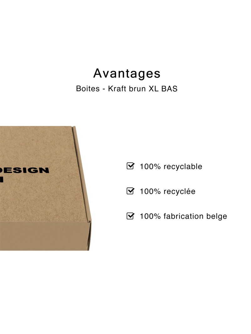 Caja - Kraft XL BAS