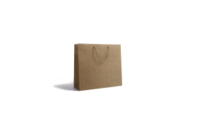 Luxury paper bag - Kraft XS unprinted