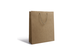 Sac papier Luxe - Kraft S sans impression