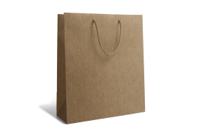 Sac papier Luxe - Kraft M sans impression