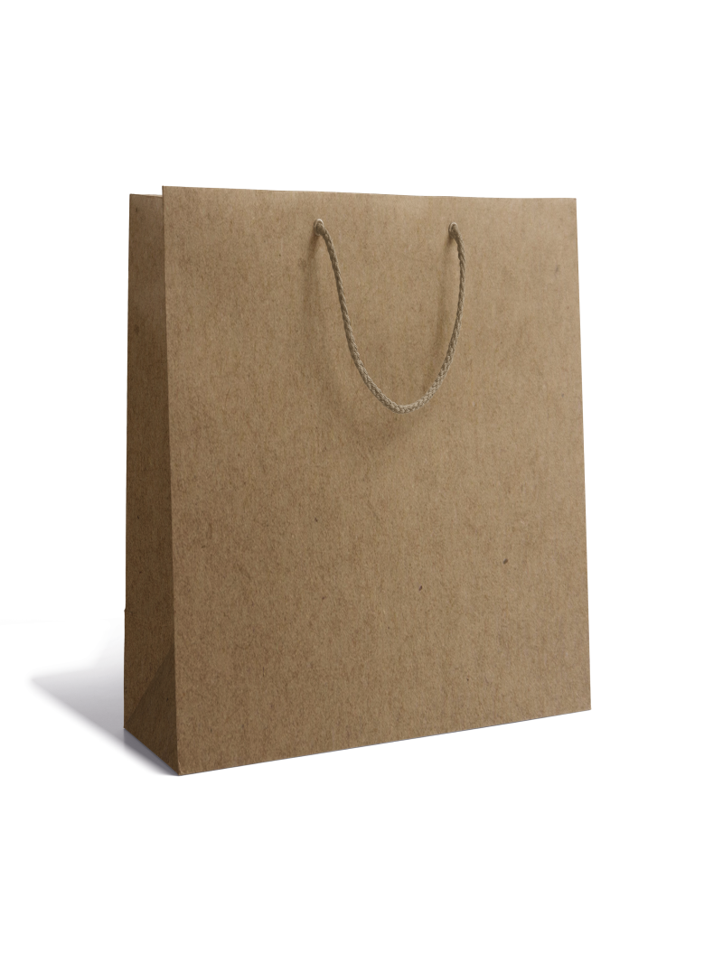 Sac papier Luxe - Kraft M sans impression