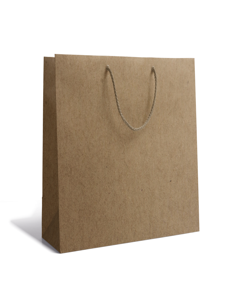 Sac papier Luxe - Kraft M sans impression