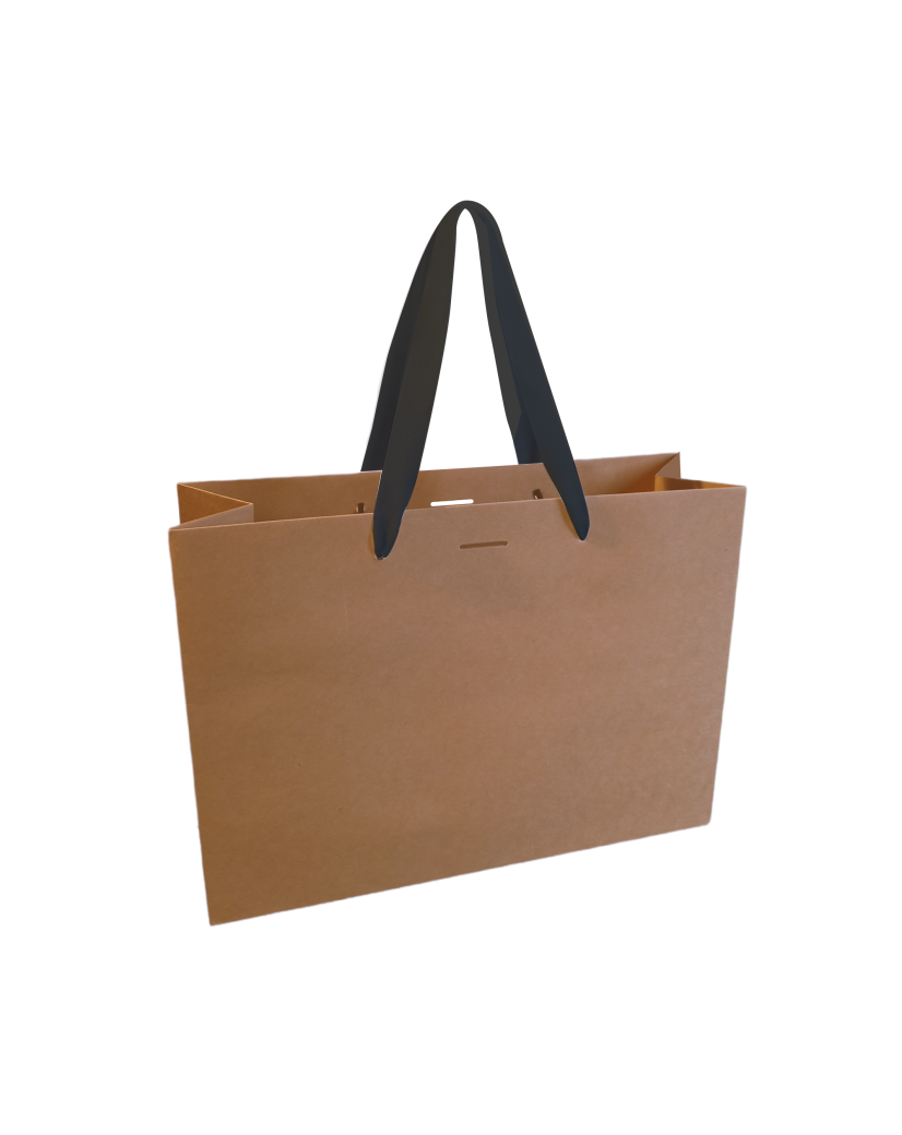 Luxury paper bag - Kraft M