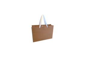 Sac papier Luxe poignée ruban blanc - Kraft S sans impression