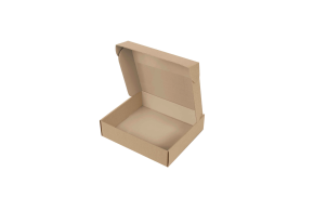 Box - kraft S unprinted